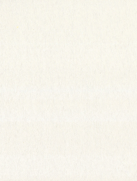 年代 / 歐拉板